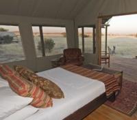 Desert Rhino Camp - Guest Room